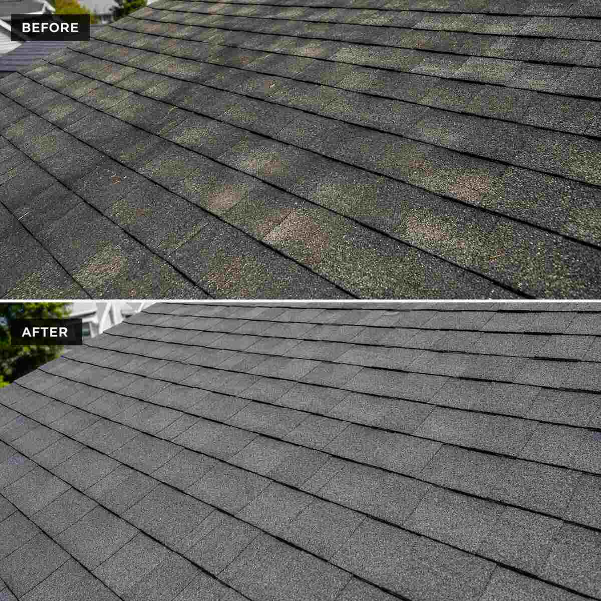 Restored asphalt shingles after roof rejuvenation treatment