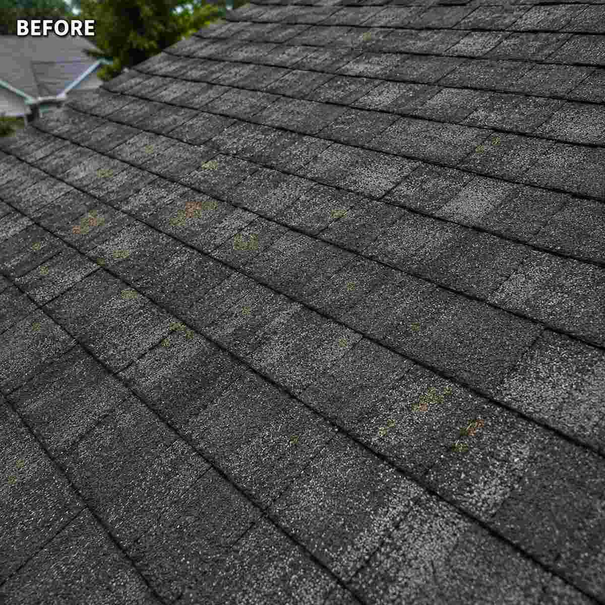 Aged asphalt shingles before roof rejuvenation treatment